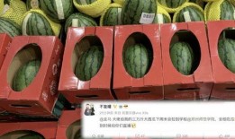 全校都在吃瓜,揭秘校园“吃瓜”盛况