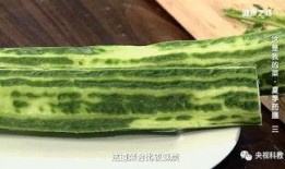 健康之路吃瓜顶瓜瓜,吃瓜顶瓜瓜，健康生活新主张