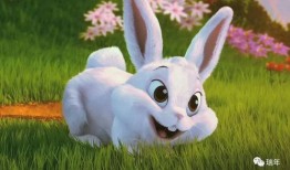 兔子生瓜西吃,探寻兔子饮食文化的奇妙之旅