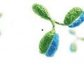 信达生物吃瓜