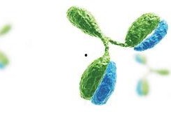 信达生物吃瓜