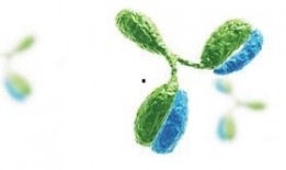 信达生物吃瓜