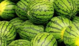 清远吃瓜,揭秘当地特色美食背后的故事