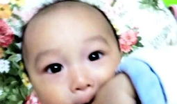 吃瓜的宝贝合集,揭秘娱乐圈幕后故事