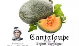 吃瓜群众58号,揭秘网络红人的幕后故事