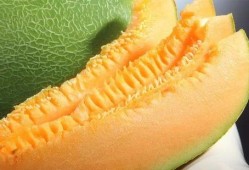 新疆民歌 吃蜜瓜,品鉴“吃蜜瓜”的韵味