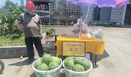 职院吃瓜墙,揭秘校园热点事件背后的真相