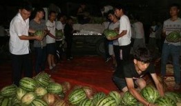 观景区吃瓜大赛,欢乐盛夏，瓜王争霸记