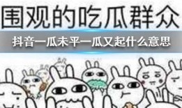 抖音吃瓜胖子,揭秘娱乐圈幕后故事