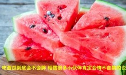 盘锦吃瓜视频,一场夏日里的欢乐盛宴