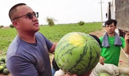 监控人吃瓜图片大全