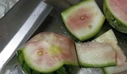 小红书吃瓜头像,揭秘小红书热门吃瓜头像背后的故事