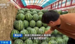 冉然吃瓜,揭秘娱乐圈幕后故事