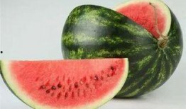 带你吃瓜奇葩恐龙,揭秘“带你吃瓜奇葩恐龙”的神秘面纱