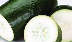 老芒瓜怎么吃,探索传统美食新境界