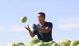 金昌吃瓜,探寻瓜果美食的甜蜜奥秘