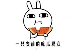 吃瓜网热门事件,揭秘近期热门事件背后的真相与争议