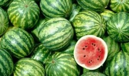 深圳高尔夫圈子吃瓜