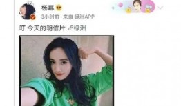 吃瓜全明星账号,揭秘娱乐圈幕后故事