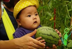 成长吃瓜,青少年心理成长记