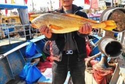 渔民围观吃瓜视频下载,揭秘海上奇观背后的故事