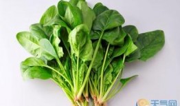 孕妇吃瓜还是吃青菜好呢,瓜类与青菜哪个更佳？