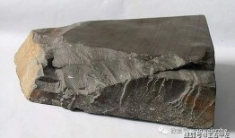 吃瓜岱中岱,一场别开生面的网络狂欢