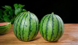 吃瓜过程,一场别开生面的吃瓜之旅