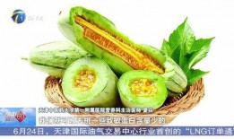 怀孕可以吃蜜瓜干吗,安全与营养并重