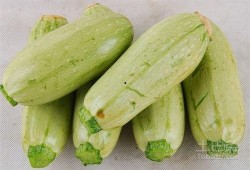 吃生瓜会咋样,了解吃生瓜可能带来的后果