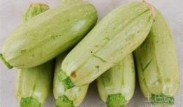 吃生瓜会咋样,了解吃生瓜可能带来的后果