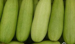 葫白瓜怎么吃