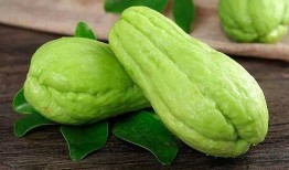 吃瓜公众号曹白莲,带你领略娱乐圈幕后风云