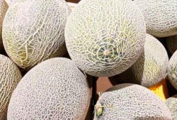 吃西州蜜瓜会胖吗,美味与健康的甜蜜平衡