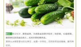 吃瓜长湿气,湿气缠身？揭秘吃瓜长湿气的真相与应对策略