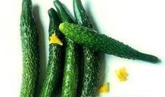 吃生瓜会咋样,了解吃生瓜可能带来的后果