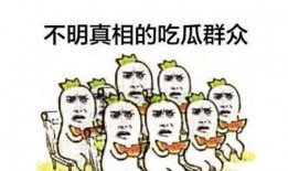 吃瓜群众害处的事例,揭秘网络舆论的负面影响