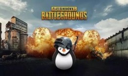 吃鸡瓜会抖吗,揭秘瓜类美食的独特魅力