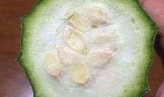 啥瓜都吃,啥瓜都吃的美食之旅