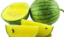 吃瓜协会主页图片,主页图片背后的趣味故事