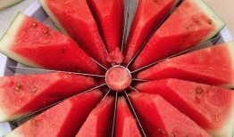 训练赛吃瓜,揭秘训练赛吃瓜背后的精彩瞬间