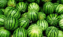 夏天吃哪几样瓜,夏日消暑瓜果盛宴