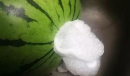 咬瓜吃大瓜,探索美食之旅