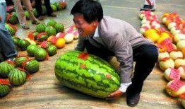 深圳高尔夫圈子吃瓜