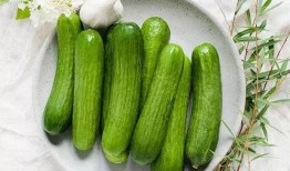 10后吃瓜状态,揭秘新一代“瓜农”的狂欢世界