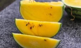 一元吃全部瓜,揭秘瓜果界的传奇之旅