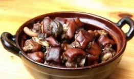 吃狗肉可以吃茄瓜吗,探讨食用禁忌与健康影响