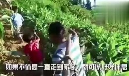 回民阿娘吃瓜视频,一场别开生面的吃瓜盛宴