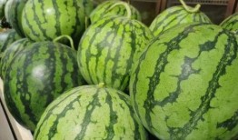 吃瓜顶流老公,揭秘娱乐圈的甜蜜秘密