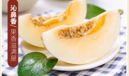 黄金蜜瓜如何吃,解锁夏日清新美味的多重吃法